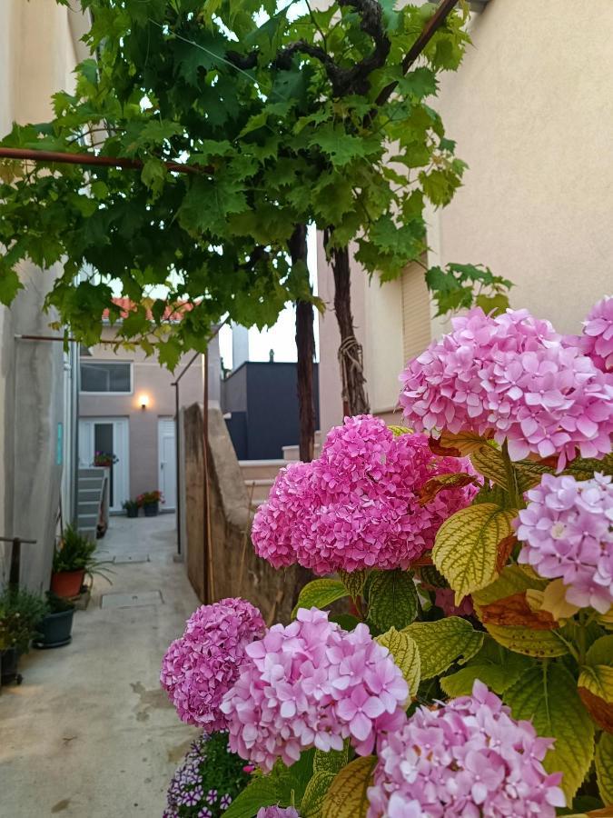 Apartman Gallery Freya Ζαντάρ Εξωτερικό φωτογραφία